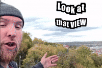 Pittsburgh Look At GIF by Mike Hitt