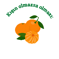 Tazedirekt vegan yemek mis organik Sticker