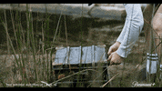 thebridgeau thebridgeau thebridgeaustralia tbau bridgeaustralia GIF