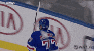 Celebrate Ice Hockey GIF by NHL