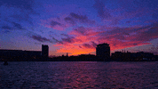 water sunset GIF by Living Stills