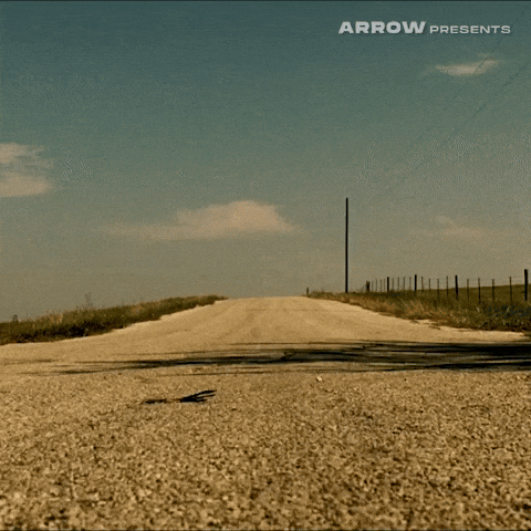 Texas Chainsaw Massacre Film GIF by Arrow Video
