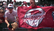 College Baseball GIF by NCAA Championships