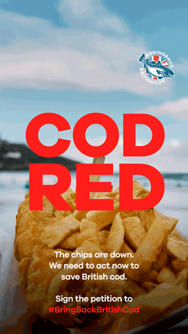 GIF by Blue Marine Foundation