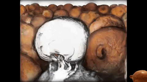 Show Performance GIF by Alex Boya