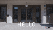 Business Reaction GIF by H&Z Management Consulting