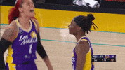 Los Angeles Sparks GIF by The Official Page of the Los Angeles Sparks