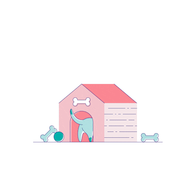 amiya18 giphyupload GIF