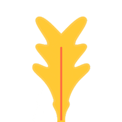 GIF by Slanted Studios
