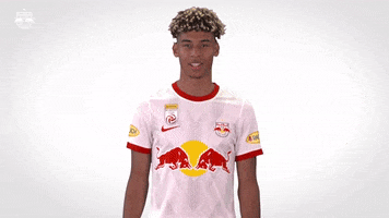 Red Bull Yes GIF by FC Red Bull Salzburg
