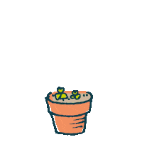 BonteRaaf flowers growing blooming groeien Sticker