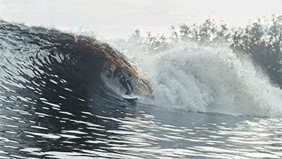 surf dude GIF by Digg