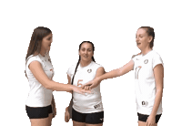 Volleyball Celebrating Sticker by fcmalibumb