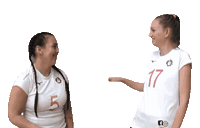 Volleyball Celebrating Sticker by fcmalibumb