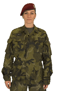 armadaceskerepubliky shocked really army gossip Sticker