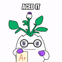 Proud A Plus GIF by Magic Eden