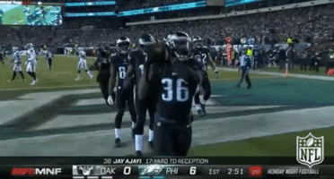 philadelphia eagles football GIF by NFL