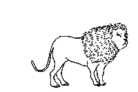 Cat Lion Sticker by Greenway Records