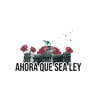 Argentina Abortolegal Sticker by Socorristas en Red (feministas que abortamos)