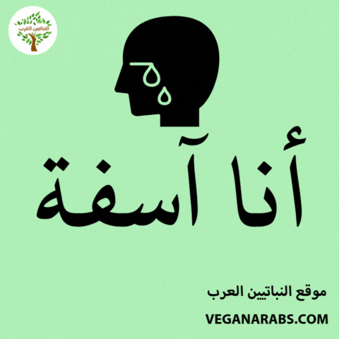 Middle East Wow GIF by VeganArabs