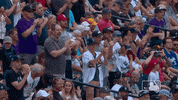 All Star Game Sport GIF by MLB