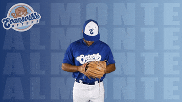 Abraham Almonte Baseball GIF by Evansville Otters