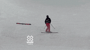 Hop Along Skiing GIF by X Games 