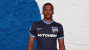 Bundesliga Berlin GIF by Hertha BSC