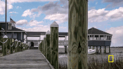 natgeochannel wicked tuna GIF