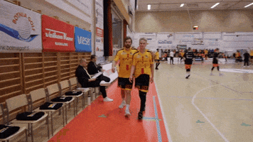 BCNokia basketball korisliiga nokia näädät GIF