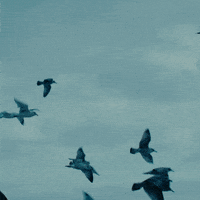 Subtract Music Video GIF by Ed Sheeran