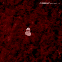 Happy Short Film GIF by Arrow Video