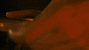 Do Or Die Twist GIF by Survivor CBS