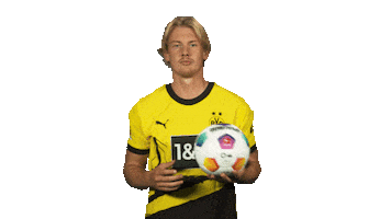 Borussia Dortmund Ball Sticker by Bundesliga