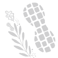 Peanut Butter Pumpkin Sticker by Perfect Bar