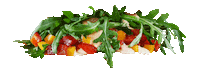 Burger Salad Sticker by HANS IM GLÜCK