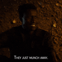 They Just Munch Away