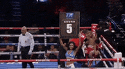 toprank 2 4 5 10 GIF