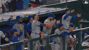 Celebration Baseball GIF by New York Mets
