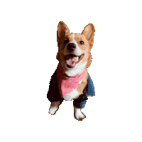 Corgi Dog Smile Sticker by Geekster Pets