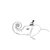 Party Elephant GIF by Harriet Lenneman