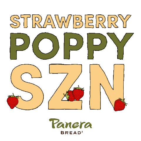 Food Salad Sticker by Panera Bread