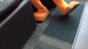 FollowStevens idk duck i dont know who knows GIF