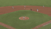 Major League Baseball Reaction GIF by MLB