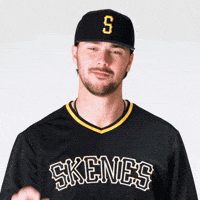 Hot Dog Baseball GIF by Sheetz