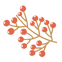 Christmas Flower Sticker