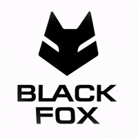 BlackFoxMotors black fox blf motors GIF