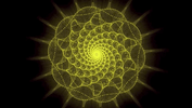 GIF by HuMandalas