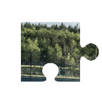 Sports Car Game Sticker by BMW USA