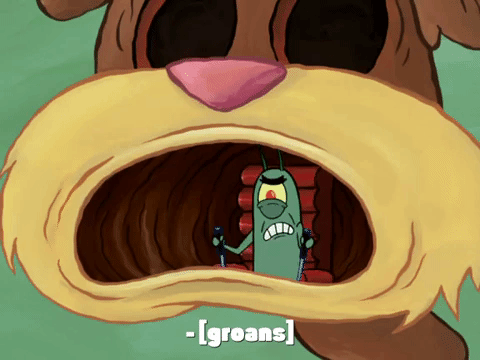 season 7 episode 3 GIF by SpongeBob SquarePants